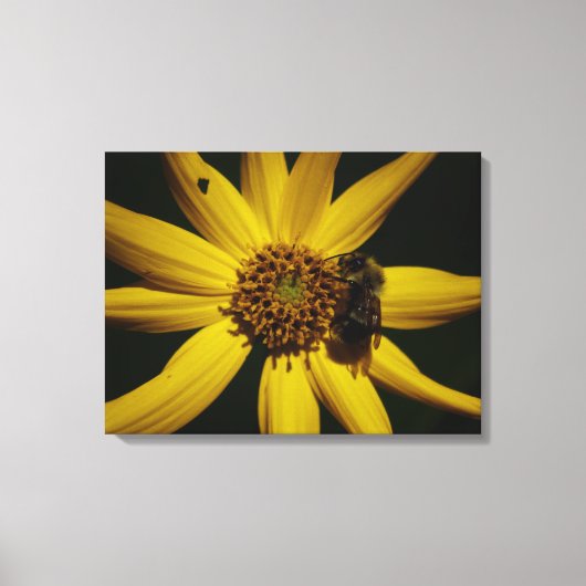 152.ブンブンいう音ひまわり キャンバスプリント (正面)