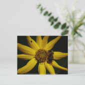 152.ブンブンいう音ひまわり ポストカード (スタンド正面)