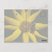 152.ブンブンいう音ひまわり ポストカード (裏面)