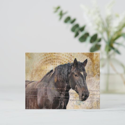 153.やさしい馬荷車を引く馬 ポストカード (スタンド正面)