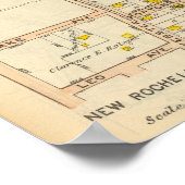 154155ニューロシェル ポスター (角)