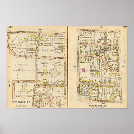 154155ニューロシェル ポスター (正面)