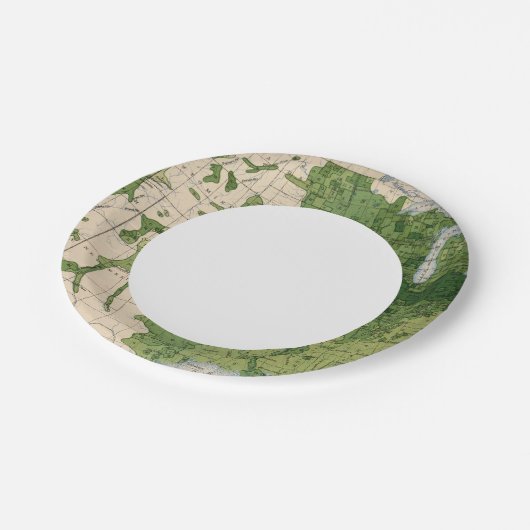 155コーン/エーカー ペーパープレート (アングル)