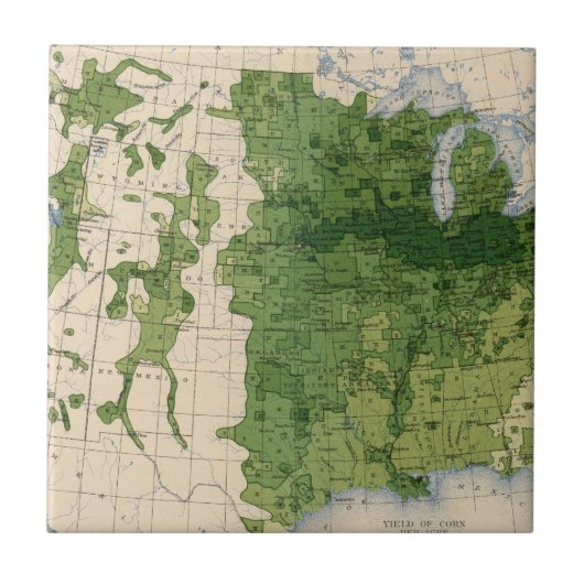 155トウモロコシかエーカー タイル (正面)