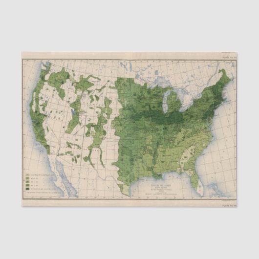 155トウモロコシかエーカー 薄葉紙 (正面)