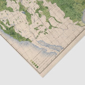 155トウモロコシかエーカー 薄葉紙 (詳細)