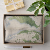 155トウモロコシかエーカー 薄葉紙 (ギフト)