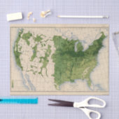 155トウモロコシかエーカー 薄葉紙 (クラフト)