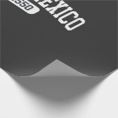 1550年アメリカのユーモア以来のメキシコ湾 ラッピングペーパー (角)