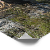 15693-RAカウボーイ ポスター (角)