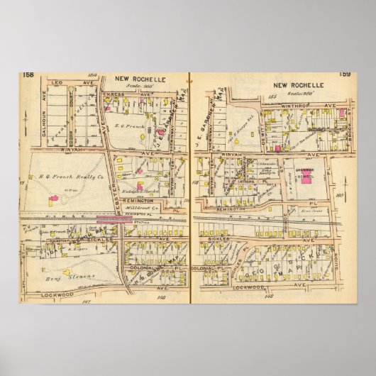 158159ニューロシェル ポスター (正面)