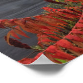 159足アシュエロカバー橋 ポスター (角)