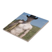 15974-RAカウボーイ タイル (側面)