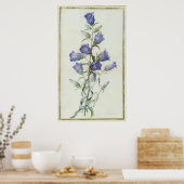 15：カンパヌラ：中1787 ポスター (キッチン)