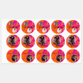 15-set Photo Orange and Hot Pink Gradient Assorted ラベル (シート)
