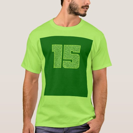 15 Tシャツ (正面)