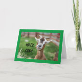 **16のまわりに誕生日** カード (正面)