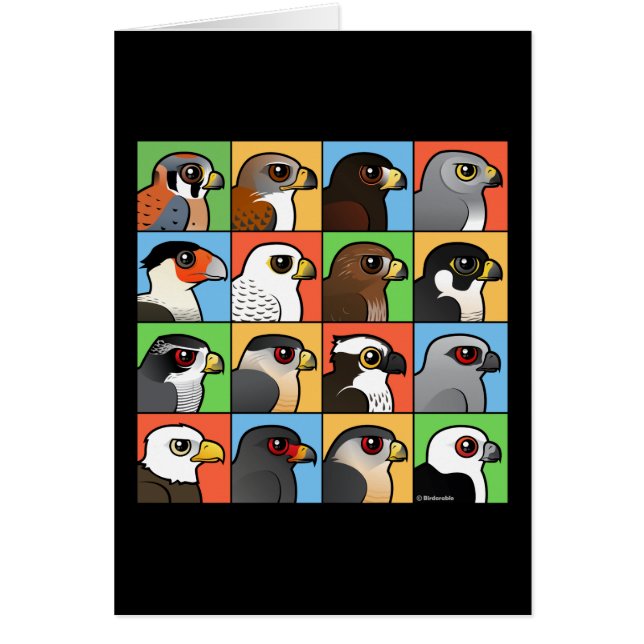 16の北アメリカの猛禽のプロフィール (正面)