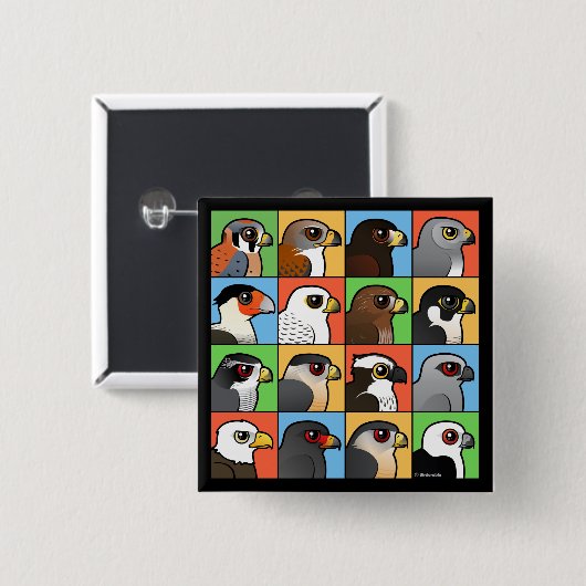 16の北アメリカの猛禽のプロフィール 缶バッジ (正面&裏面)