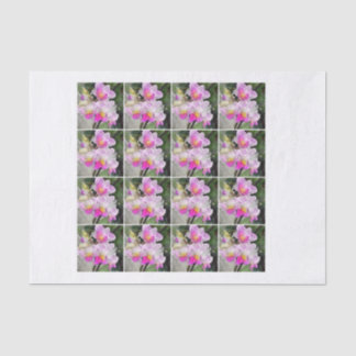 16の水彩画のピンクの蘭のdecoupageのchintz 薄葉紙