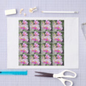 16の水彩画のピンクの蘭のdecoupageのchintz 薄葉紙 (クラフト)