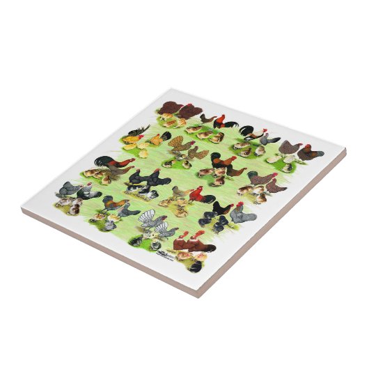 16の鶏家族 タイル (側面)