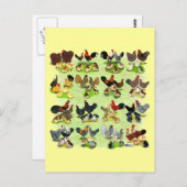 16の鶏家族 ポストカード