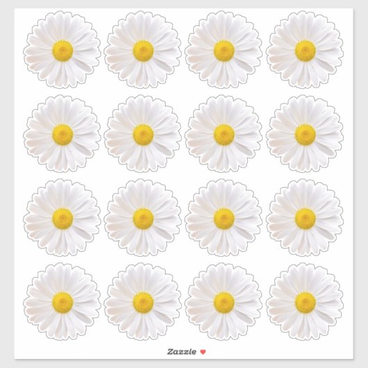 16シャスタデイジーフラワーキス切りステッカー シール (シート)