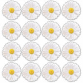 16シャスタデイジーフラワーキス切りステッカー シール (正面)