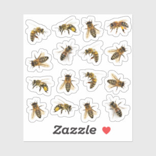 16ビニールステッカー上のリアルなミツバチ5 シール