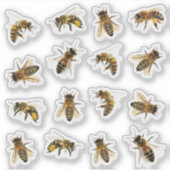 16ビニールステッカー上のリアルなミツバチ5 シール (正面)