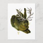 16世紀なJackalope ポストカード (正面)