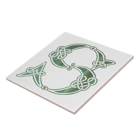 16世紀ケルト結び目模様装飾首都 タイル (側面)