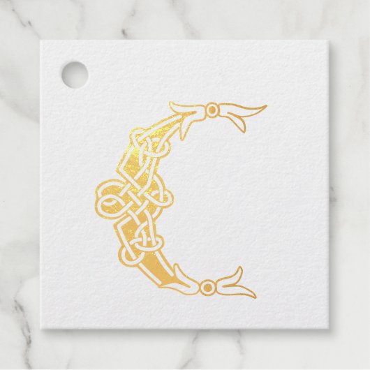 16世紀ケルト結び目模様装飾首都C フェイバータグ (正面)