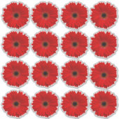 16個の赤いゲルバダイシの花のキスカットステッカー シール (正面)