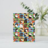 16北アメリカのRaptorプロファイル（タイル） ポストカード (スタンド正面)