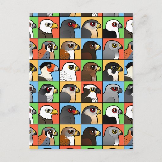 16北アメリカのRaptorプロファイル（タイル） ポストカード (正面)