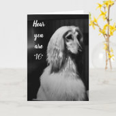 16枚目の誕生日 カード (黄色い花)