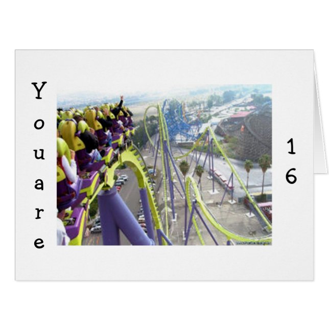 16歳のジェットコースターのスリル (正面横)