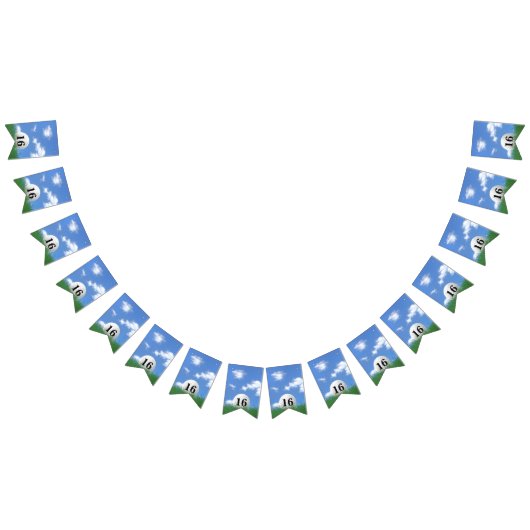 16歳の誕生日のバンティングフラッグのゴルフボール バンティングフラッグ (全)