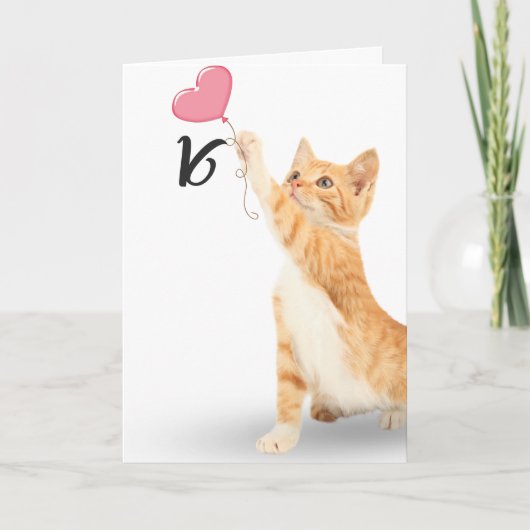 16歳の誕生日タビー猫 カード (正面)