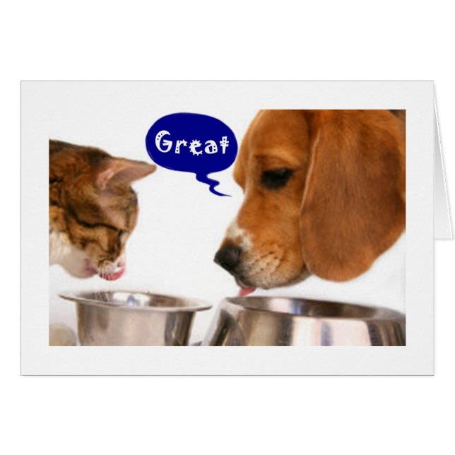 16番に乗ればモールへ行ける (正面横)