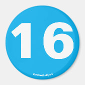 16磁石 マグネット (正面)