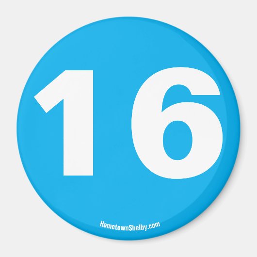 16磁石 マグネット (正面)