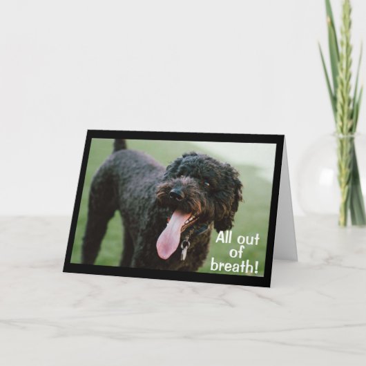 **16祝誕生日** カード (正面)