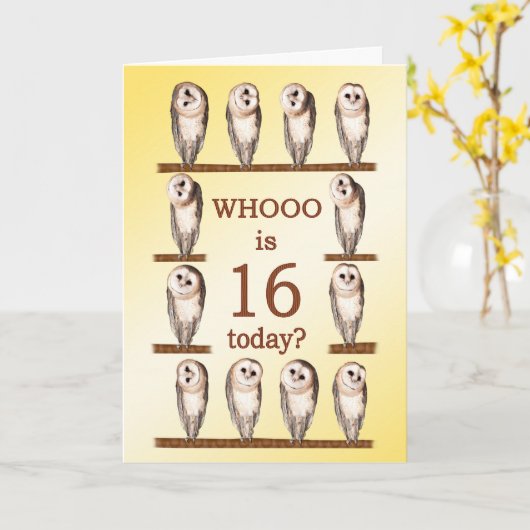 16誕生日フクロウ カード (黄色い花)