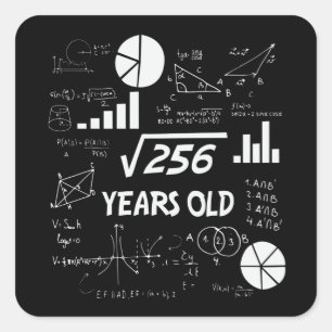 16誕生日平方根数学16歳 スクエアシール