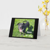 **16誕生日**一匹の犬のユーモアクールの種 カード (黄色い花)