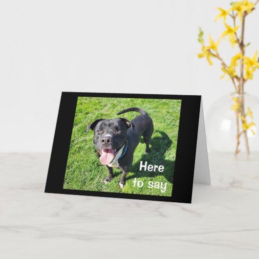 **16誕生日**一匹の犬のユーモアクールの種 カード (黄色い花)