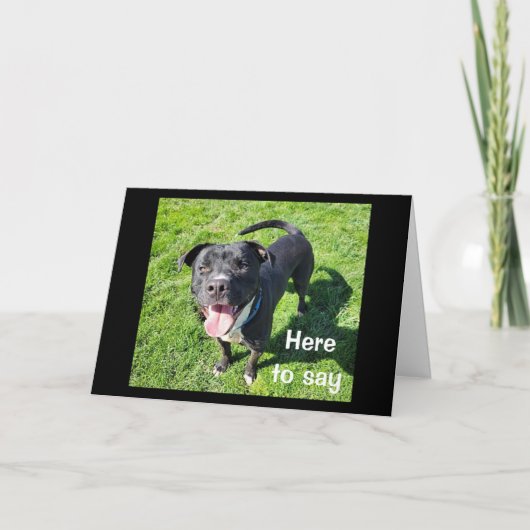 **16誕生日**一匹の犬のユーモアクールの種 カード (正面)